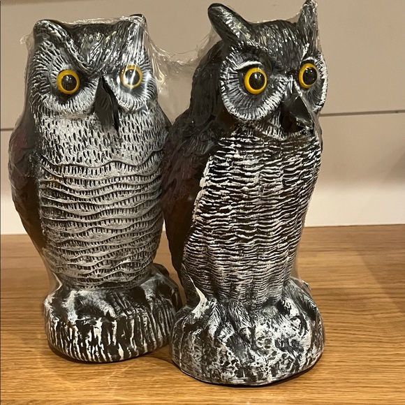 Outdoor Owl Decoys (Set of 2) - Picture 4 of 4